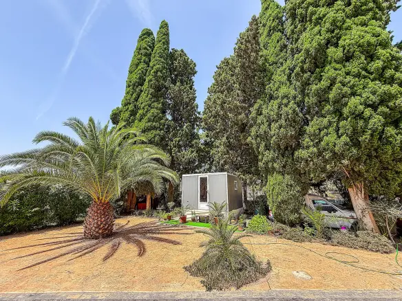 4-bedroom Detached Villa In Yecla, Spain (320 M²)