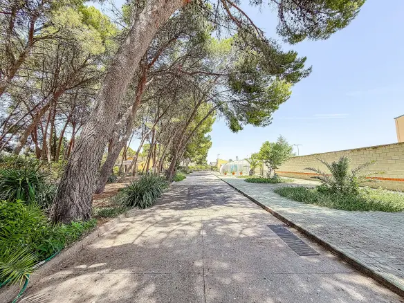 4-bedroom Detached Villa In Yecla, Spain (320 M²)