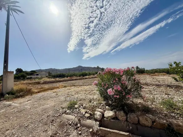 3-bedroom Detached Villa In Abanilla, Spain (115 M²)