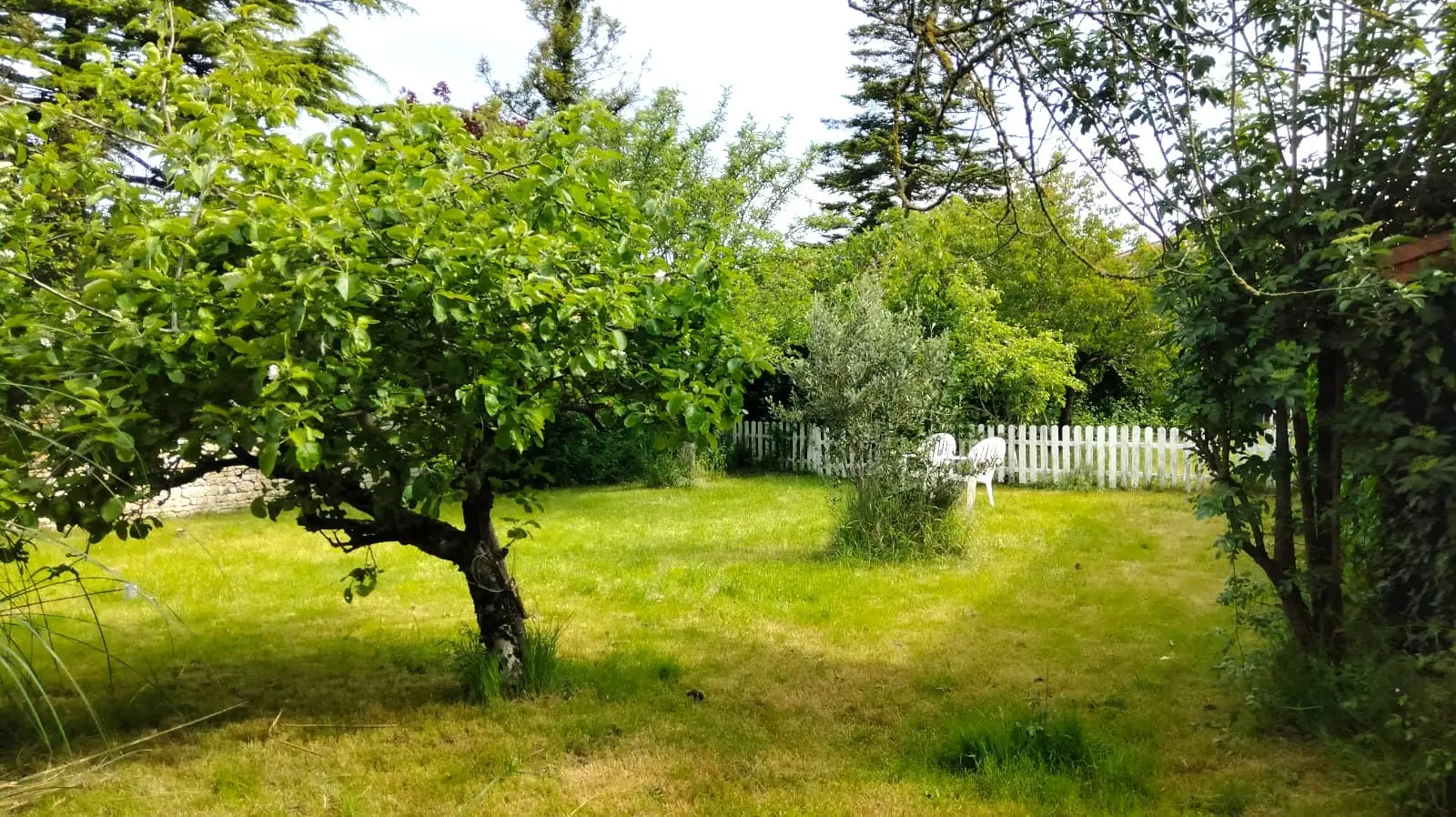 Country House Of 3 M² With 3 Bedrooms, Gîte, Pool, Outbuildings In Fontenille