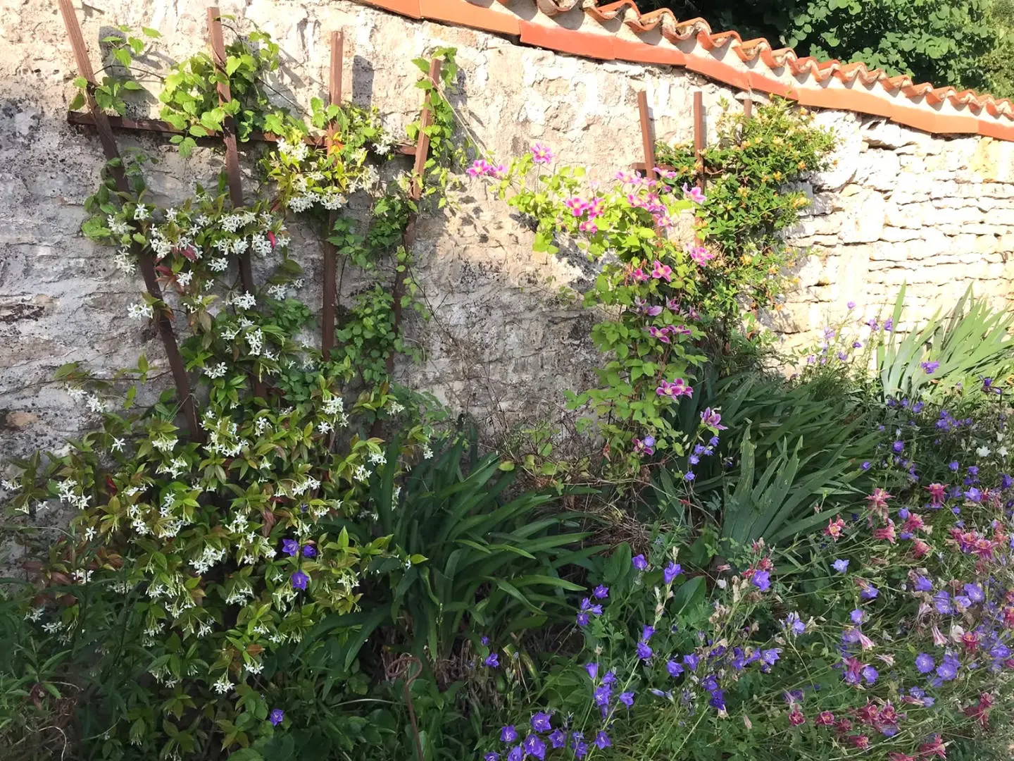 Detached Village House Of 0 M² With Views And Country Gardens In Verteuil