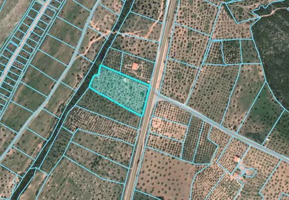 Land Of 10000 M² In Sithonia, Chalkidiki