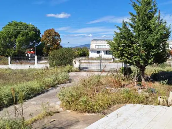 Detached House In Lagkadas, Greece (200 M²)
