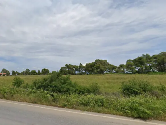 Land In Kassandra, Greece