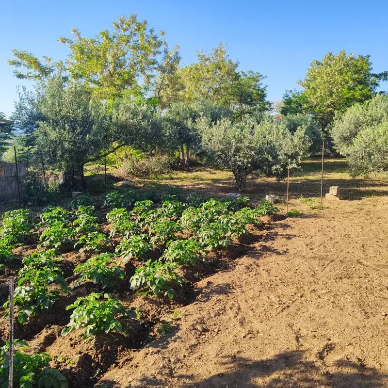 2-bedroom Detached House In Vertiskos, Greece (65 M²)