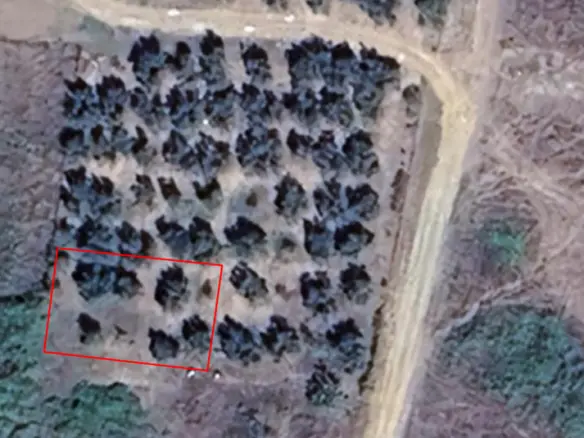 Land Of 600 M² In Sithonia, Chalkidiki