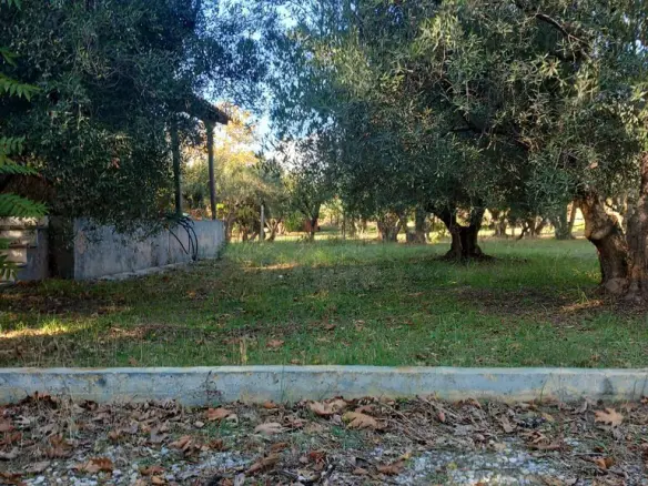 3-bedroom Detached House In Nea Propontida, Greece (120 M²)