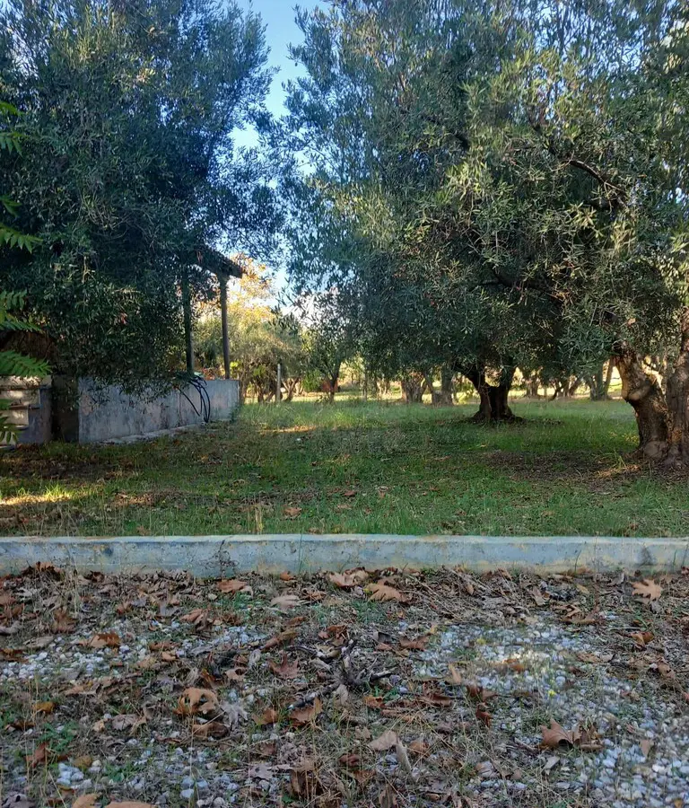 3-bedroom Detached House In Nea Propontida, Greece (120 M²)