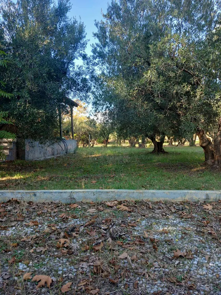 Detached House Of 120 M² In Chalkidiki