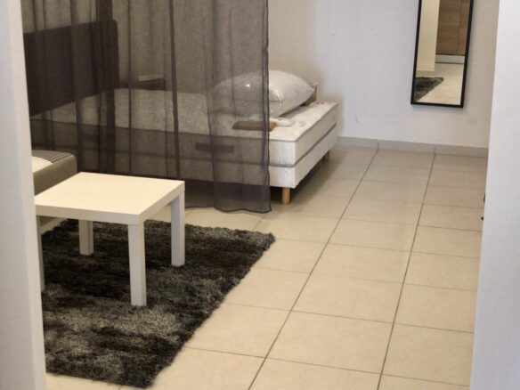Apartment Building Of 450 M² With 15 Min To Lyon In Givors