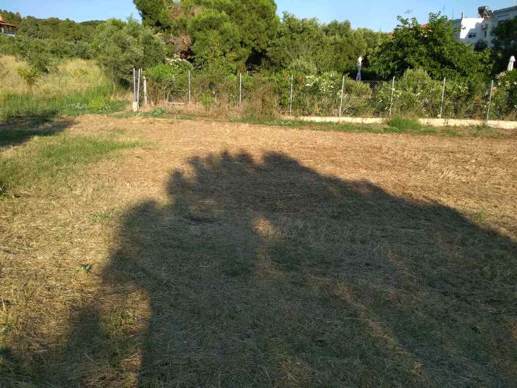 2500 M² Land Parcel Available In Athos, Chalkidiki