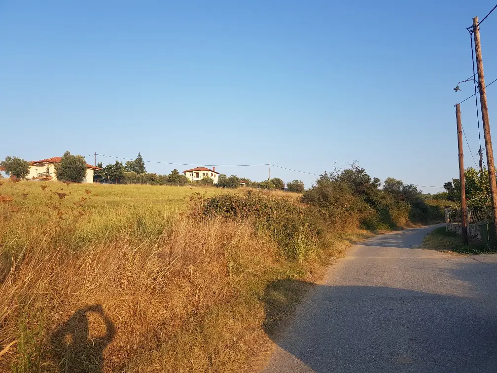 Land Of 1700 M² In Kassandra, Chalkidiki