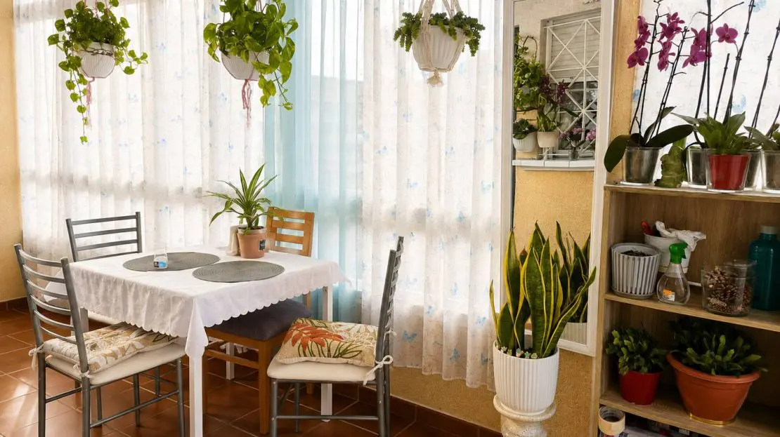 Apartment Of 58 M² In Torrevieja, Spain
