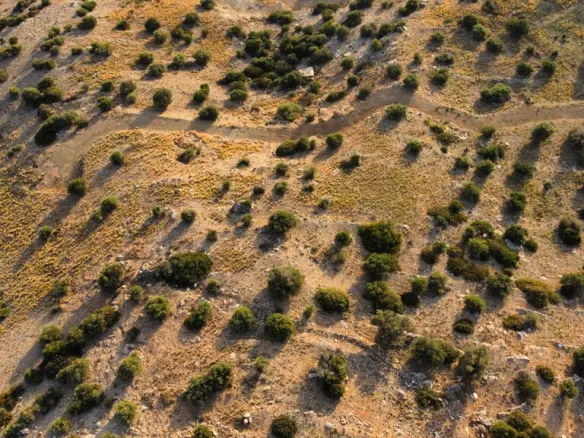 Land In Lampi, Greece