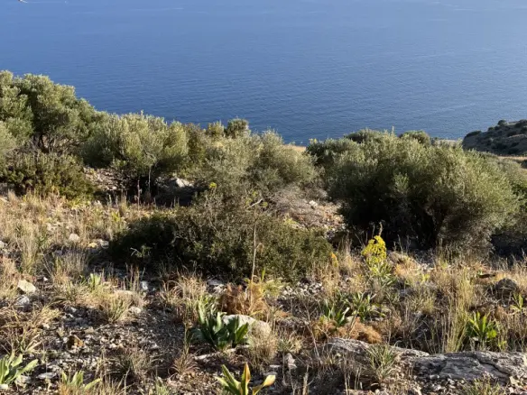 Land Of 4100 M² In Crete