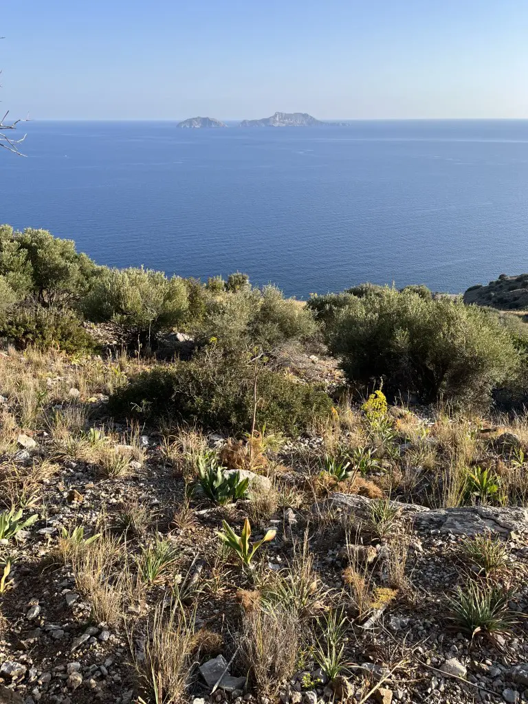 Land In Lampi, Greece