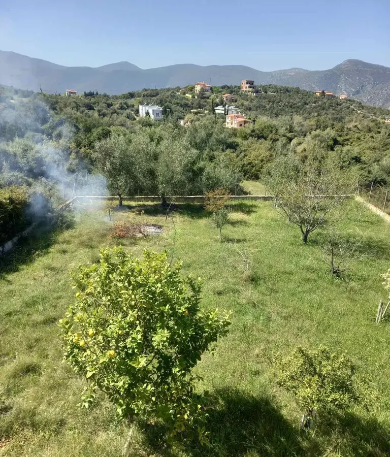 5-bedroom Detached House In Anthidonos, Greece (220 M²)
