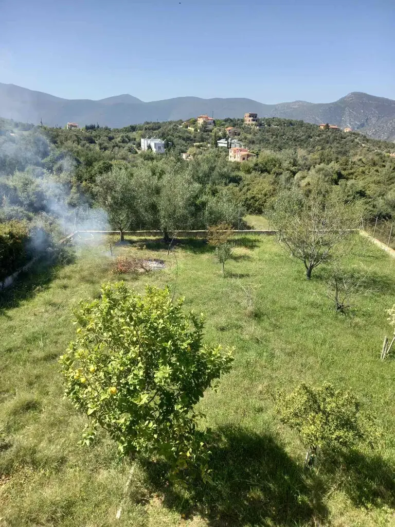 5-bedroom Detached House In Anthidonos, Greece (220 M²)