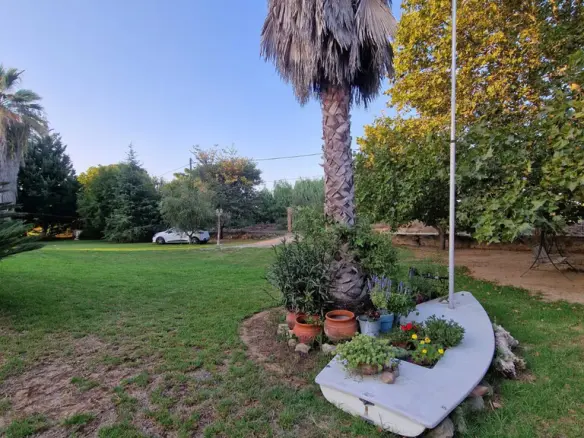 4-bedroom Detached House In Amaliada, Greece (170 M²)