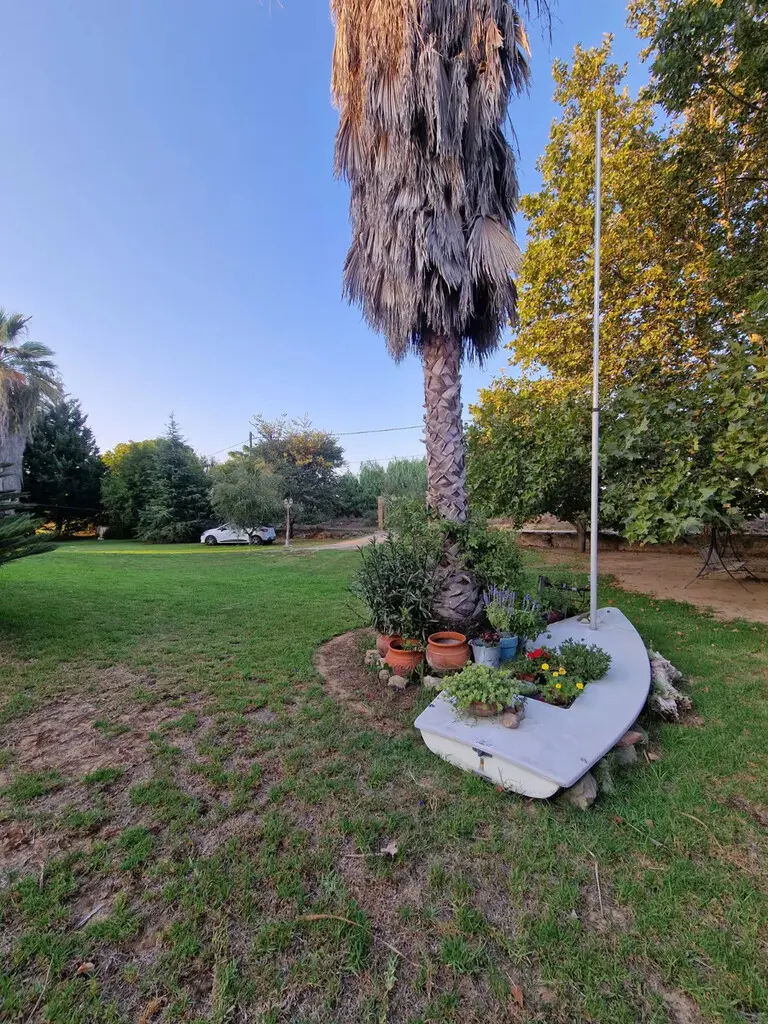4-bedroom Detached House In Amaliada, Greece (170 M²)