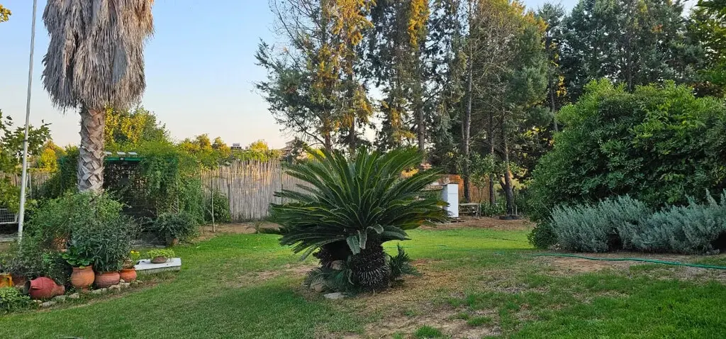 4-bedroom Detached House In Amaliada, Greece (170 M²)