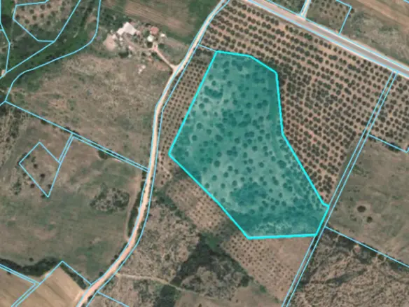 Land Of 22765 M² In Sithonia, Chalkidiki