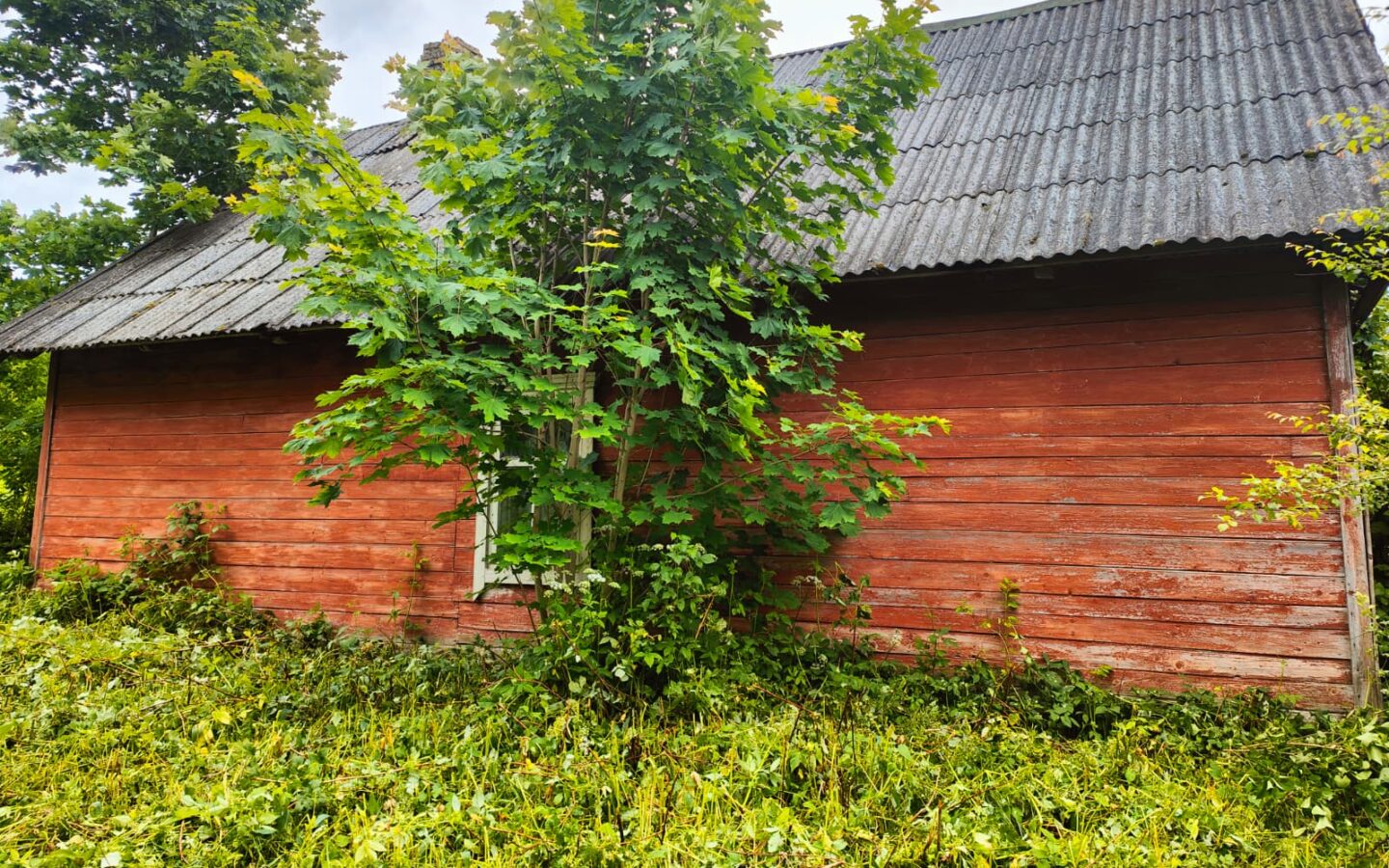 House With 1.5 Ha Of Land For Sale In Latvia Countryside.