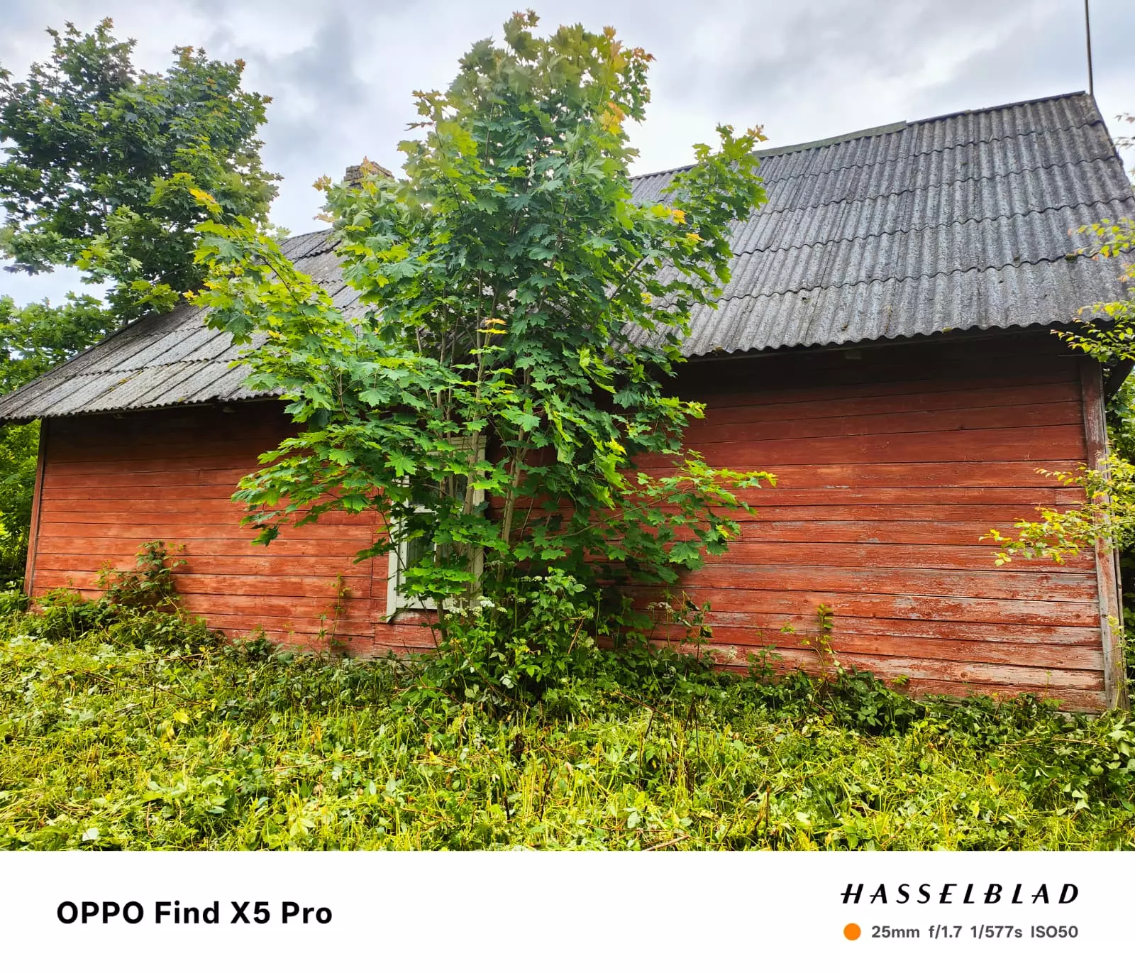 House With 1.5 Ha Of Land For Sale In Latvia Countryside.