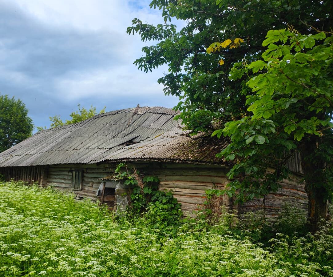 House With 1.5 Ha Of Land For Sale In Latvia Countryside.