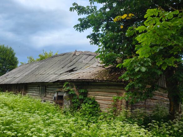 House With 1.5 Ha Of Land For Sale In Latvia Countryside.