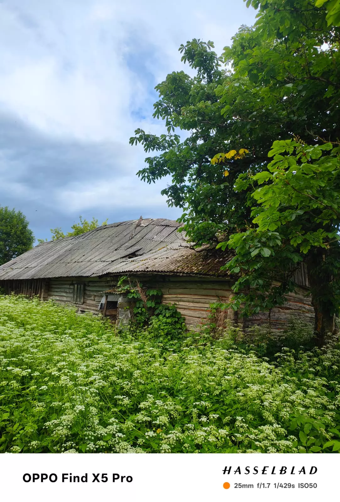 House With 1.5 Ha Of Land For Sale In Latvia Countryside.