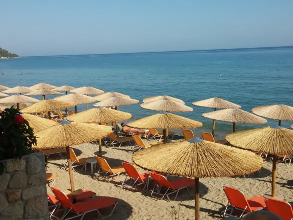 Business Of 765 M² In Kassandra, Chalkidiki