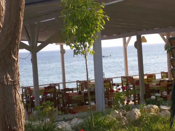 Business In Kassandra, Greece (765 M²)