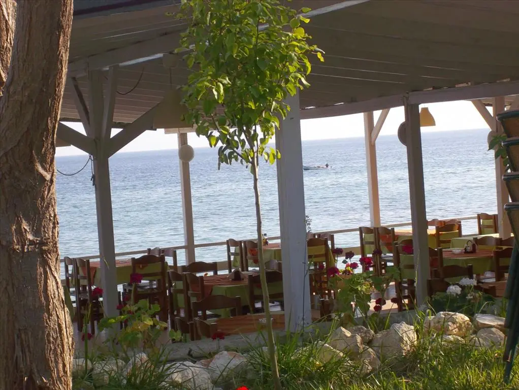 Business Of 765 M² In Kassandra, Chalkidiki