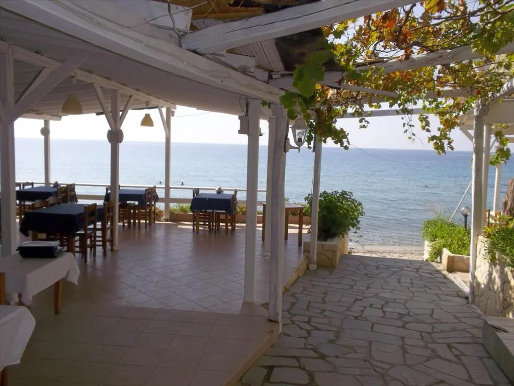 Business Of 765 M² In Kassandra, Chalkidiki