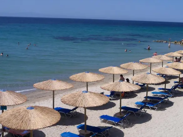 Business In Kassandra, Greece (765 M²)