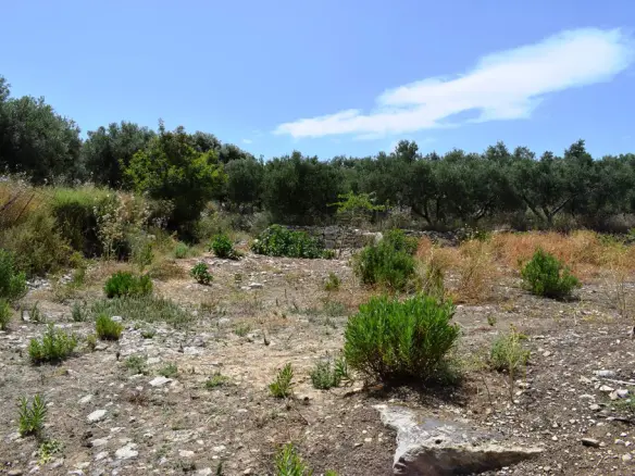 Land In Kouloukonas, Greece