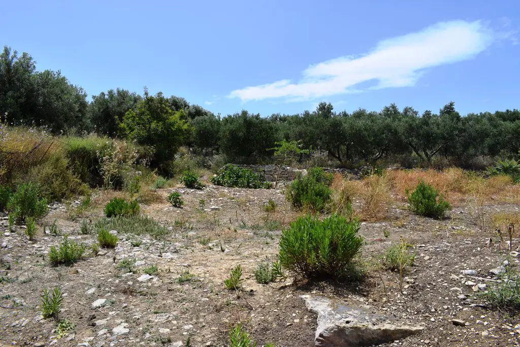 Land Of 5500 M² In Crete