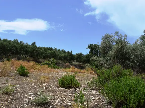Land In Kouloukonas, Greece