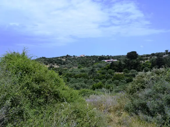 Land In Kouloukonas, Greece