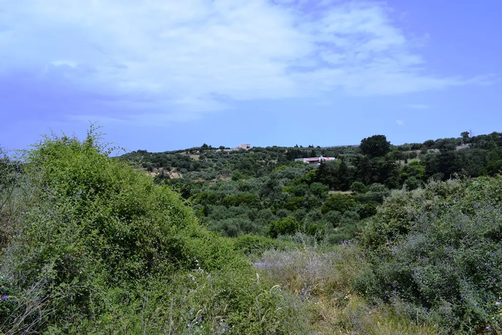 Land Of 5500 M² In Crete