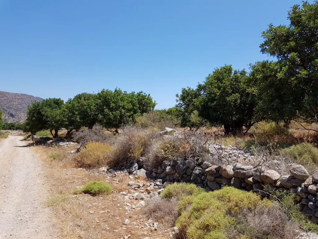 Land Of 8000 M² In Crete