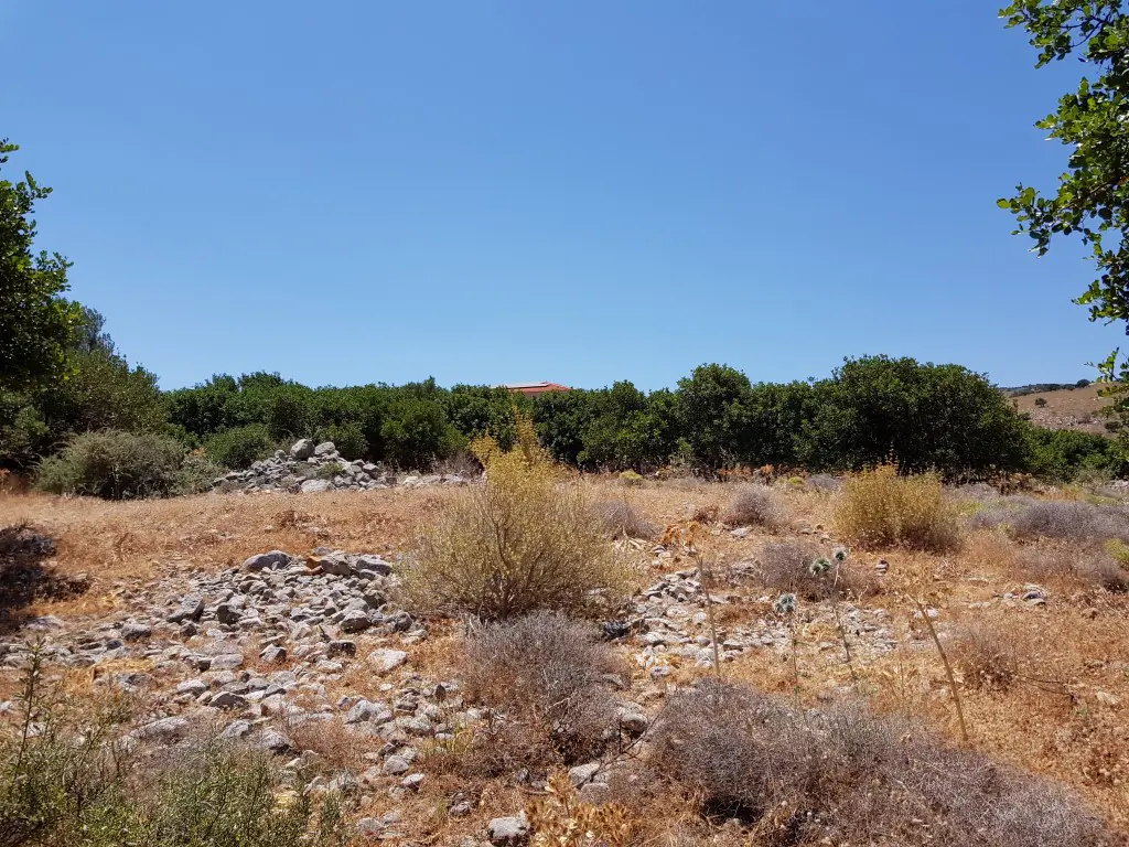 Land Of 8000 M² In Crete