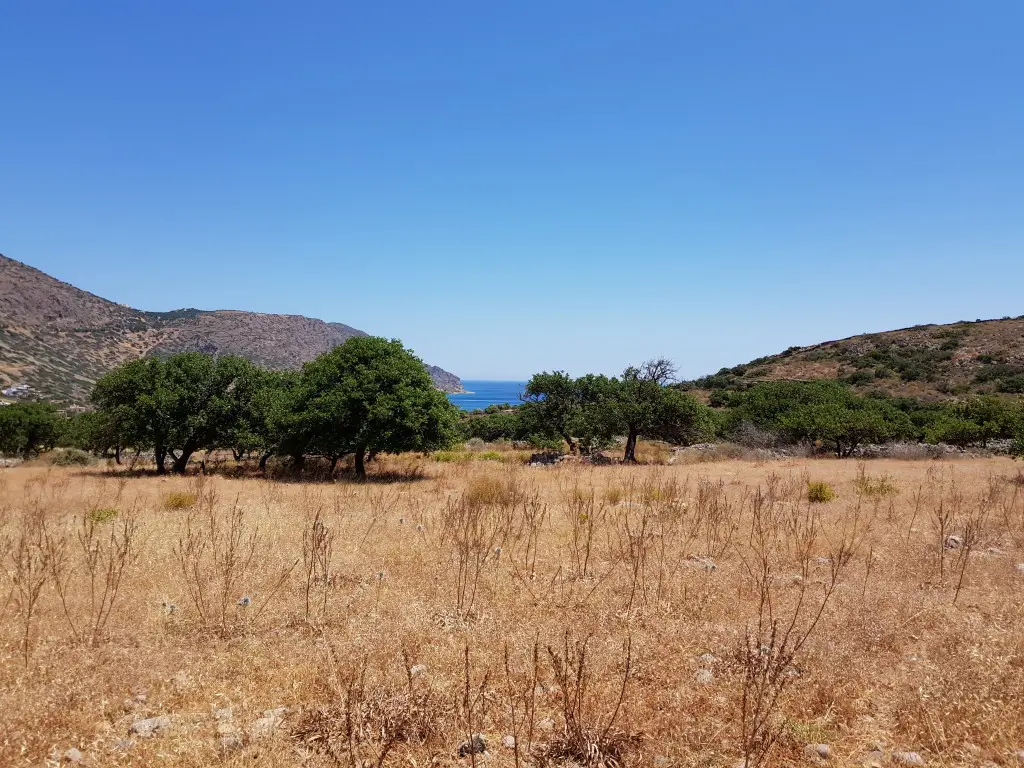 Land Of 8000 M² In Crete