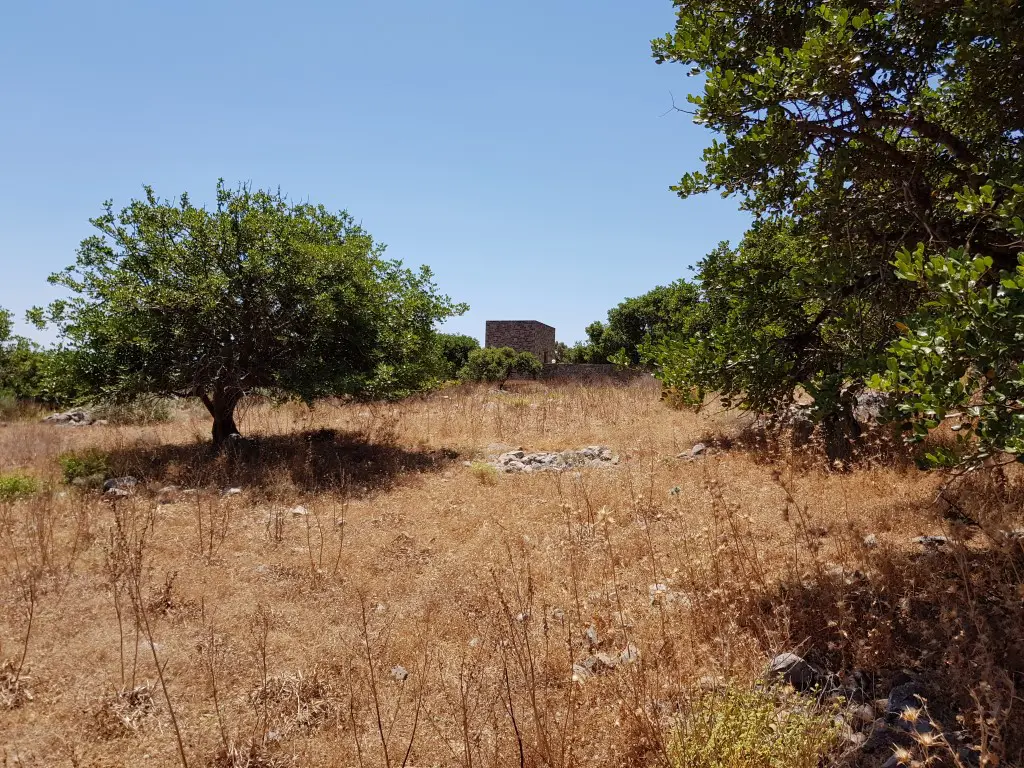 Land Of 8000 M² In Crete