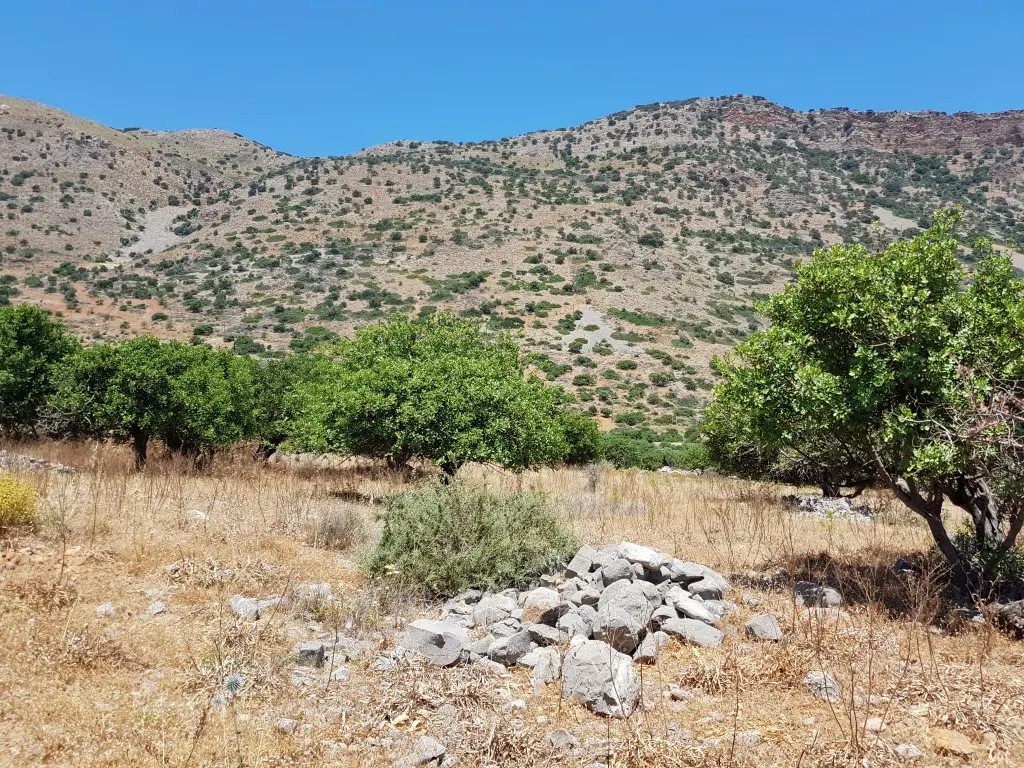 Land Of 8000 M² In Crete