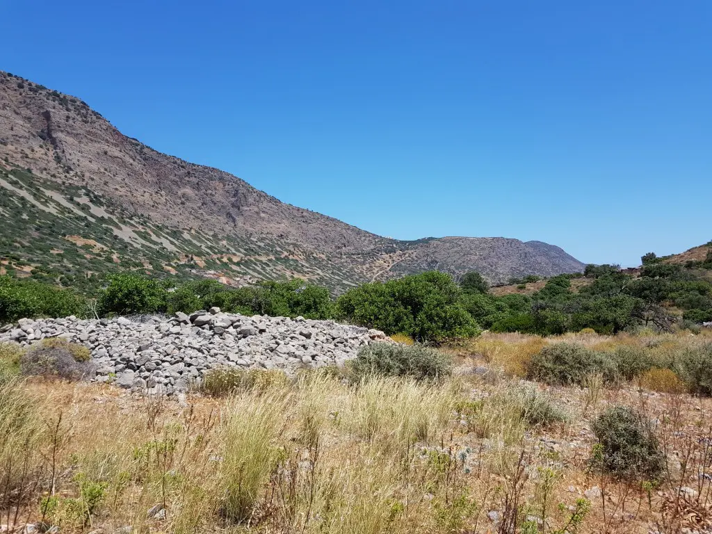 Land Of 8000 M² In Crete