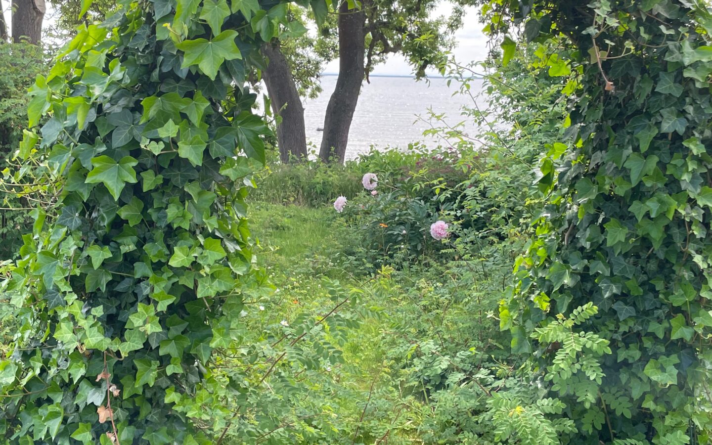Vila od 210 m² s pogledom na okean na Strandu