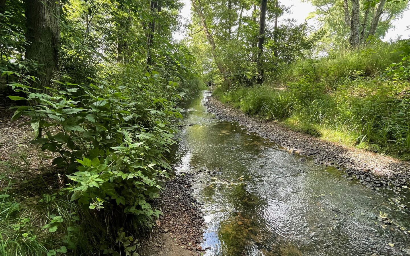 Vila od 210 m² s pogledom na okean na Strandu