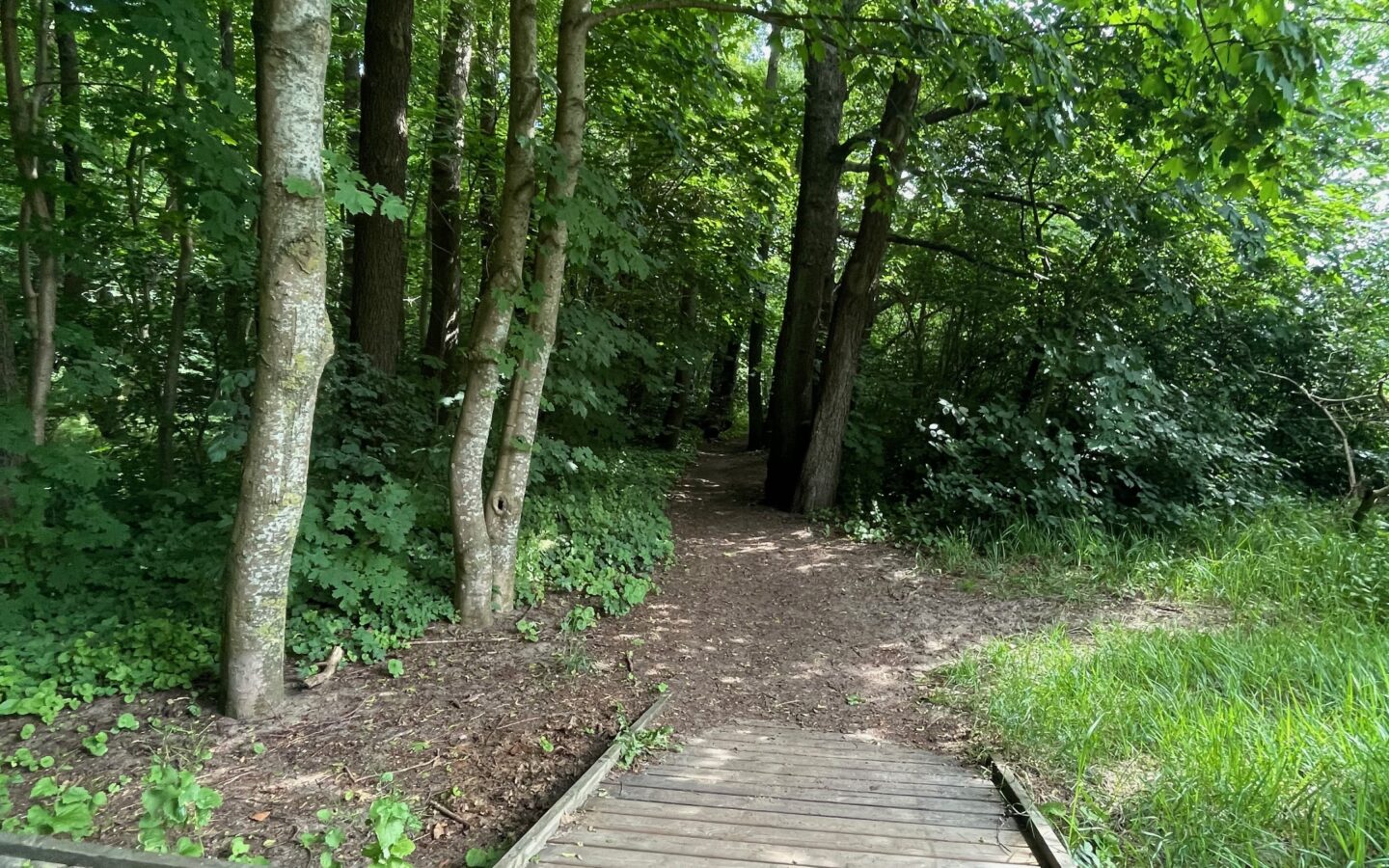 Vila od 210 m² s pogledom na okean na Strandu